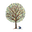 Sapling Spirits