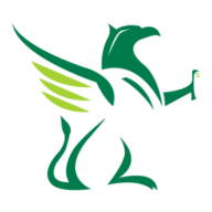Griffin Audit Limited