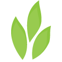 Urmatt Limited