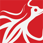 Redsquid Communications LTD
