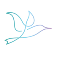 Wildanet Limited