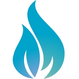 Fire Capital Management, LLC
