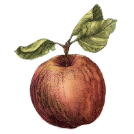 Finnriver Farm And Cidery