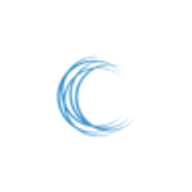 Carbis Partners
