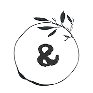 Counseling & Wellness Collective