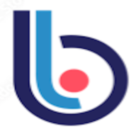 Balancing Life's Issues, INC.