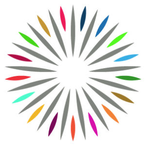 Pragmetica Sb A Responsabilità Limitata