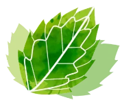 Mint Selection LTD.