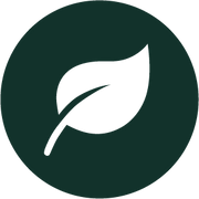 Cup Verde Coffee Gmbh