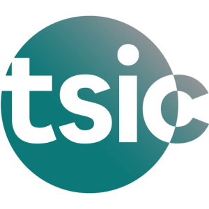 The Social Investment Consultancy