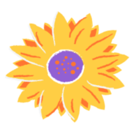 The Flower Farm B.V.