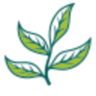 Cytoplan LTD
