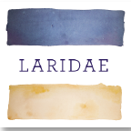 Laridae Communications INC.