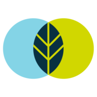 The Grove Media Limited