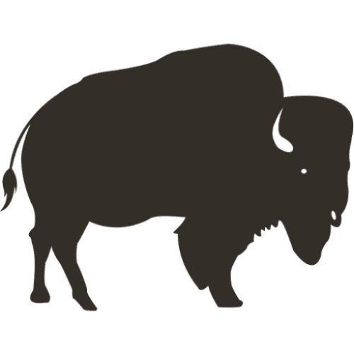 The Honest Bison