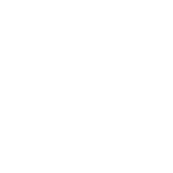 Bad Taste Bros