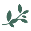 Grasshopper Gardens LTD