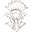 Cleobella LLC