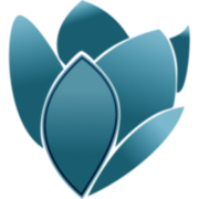 Bellevie Care LTD