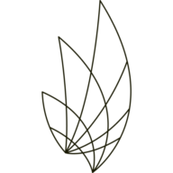 Bty Holdings INC.