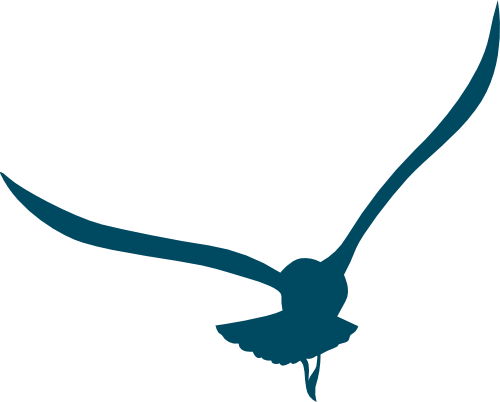 Back Cove Financial