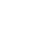 Phonetic Digital Services Limited
