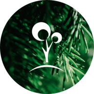 Ecording