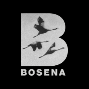 Bosena LTD