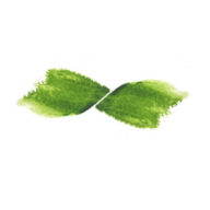 De Groene Artisanen Bv