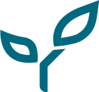 The Nursery Research & Planning LTD