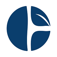 Carbonethics