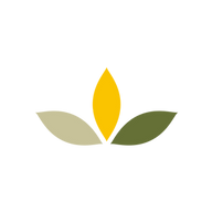 Lemontree