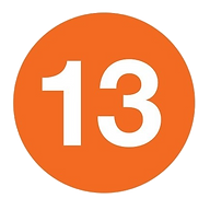 Article 13