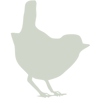 Wrendale Designs