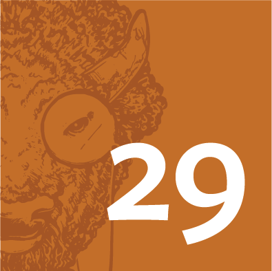 29bison, LLC