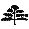 Sedar Properties