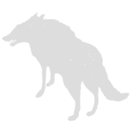 Wicklow Wolf