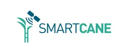 Smartcane Bv